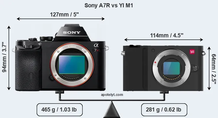 Size Sony A7R vs YI M1