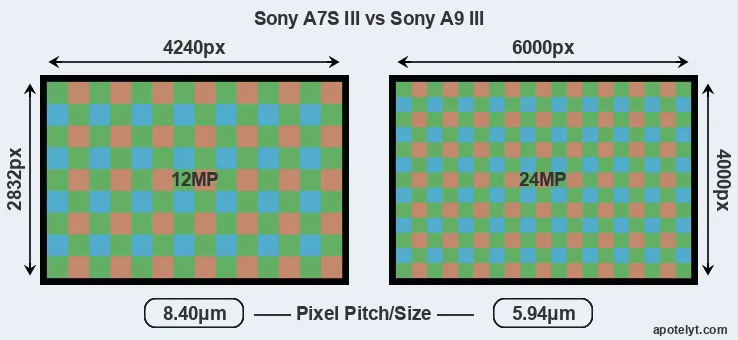 A7S III versus A9 III MP