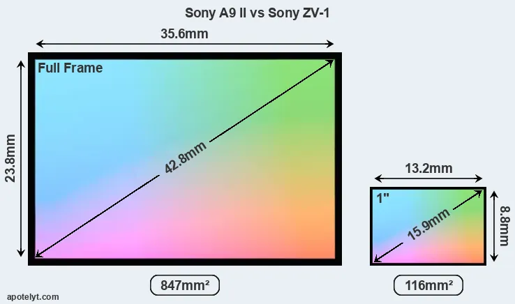Sony A9 II and Sony ZV-1 sensor measures