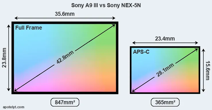 Sony A9 III and Sony NEX-5N sensor measures