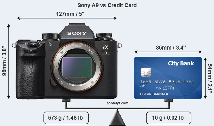 Sony A9 vs credit card front