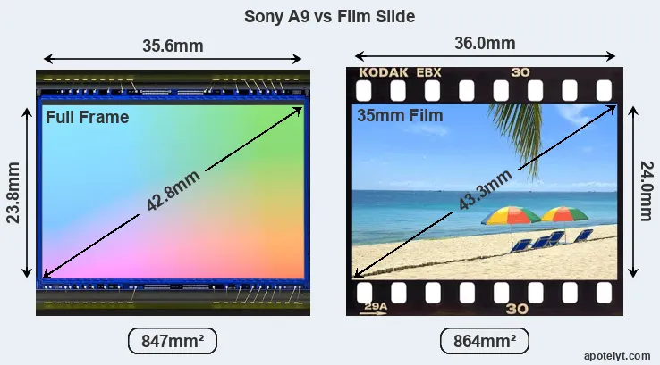 Sony A9 and Credit Card sensor measures
