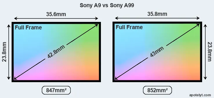 Sony A9 and Sony A99 sensor measures