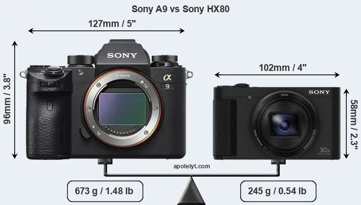 Size Sony A9 vs Sony HX80