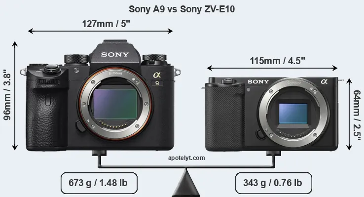 Size Sony A9 vs Sony ZV-E10