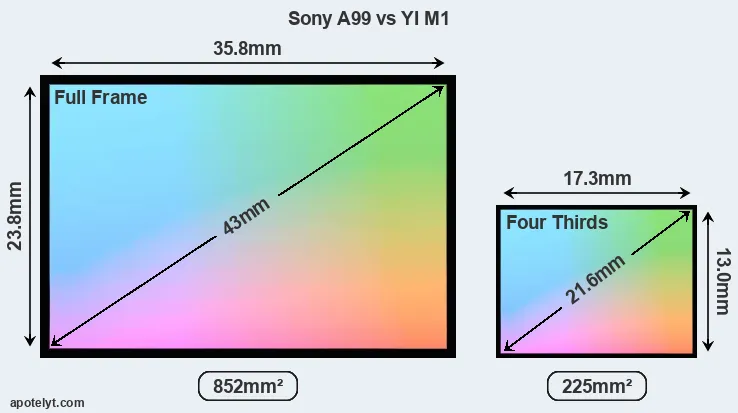 Sony A99 and YI M1 sensor measures