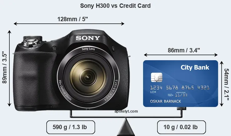 Sony H300 vs credit card front