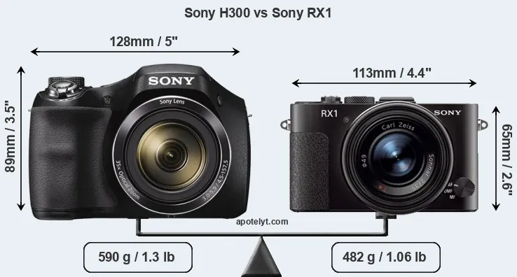 Size Sony H300 vs Sony RX1