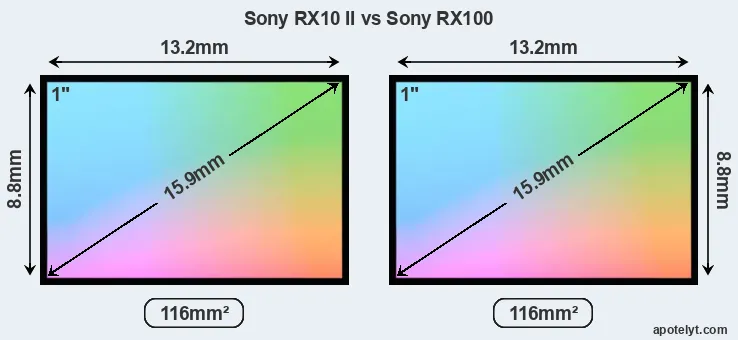 Sony RX10 II and Sony RX100 sensor measures