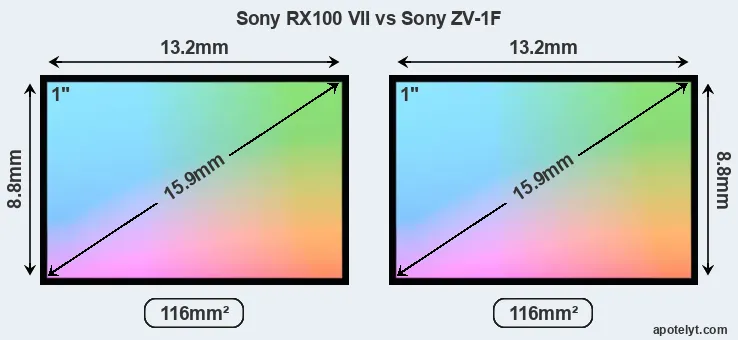 Sony RX100 VII and Sony ZV-1F sensor measures