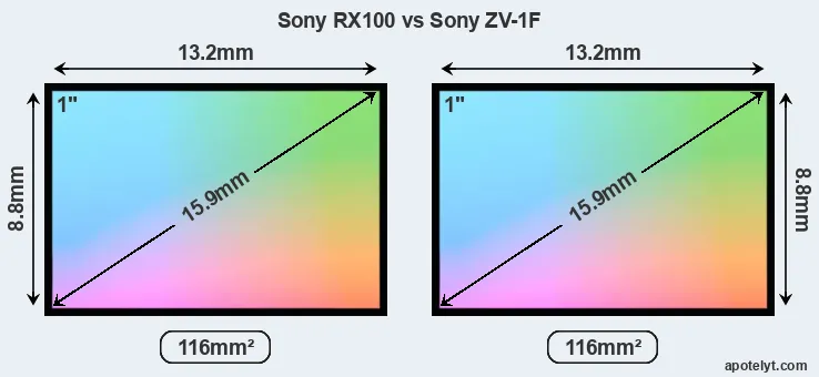 Sony RX100 and Sony ZV-1F sensor measures