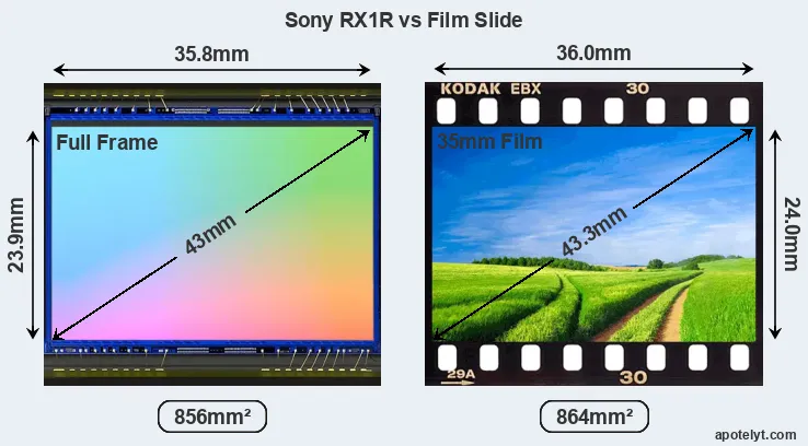 Sony RX1R sensor measures